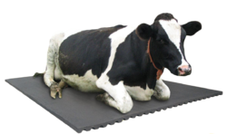 cow rubber mat 250x250